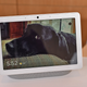 The Nest Hub Max was announced at Google I/O and is the latest device to join Nest’s smart home gadget family.